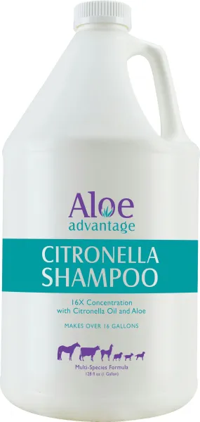 Citronella Shampoo