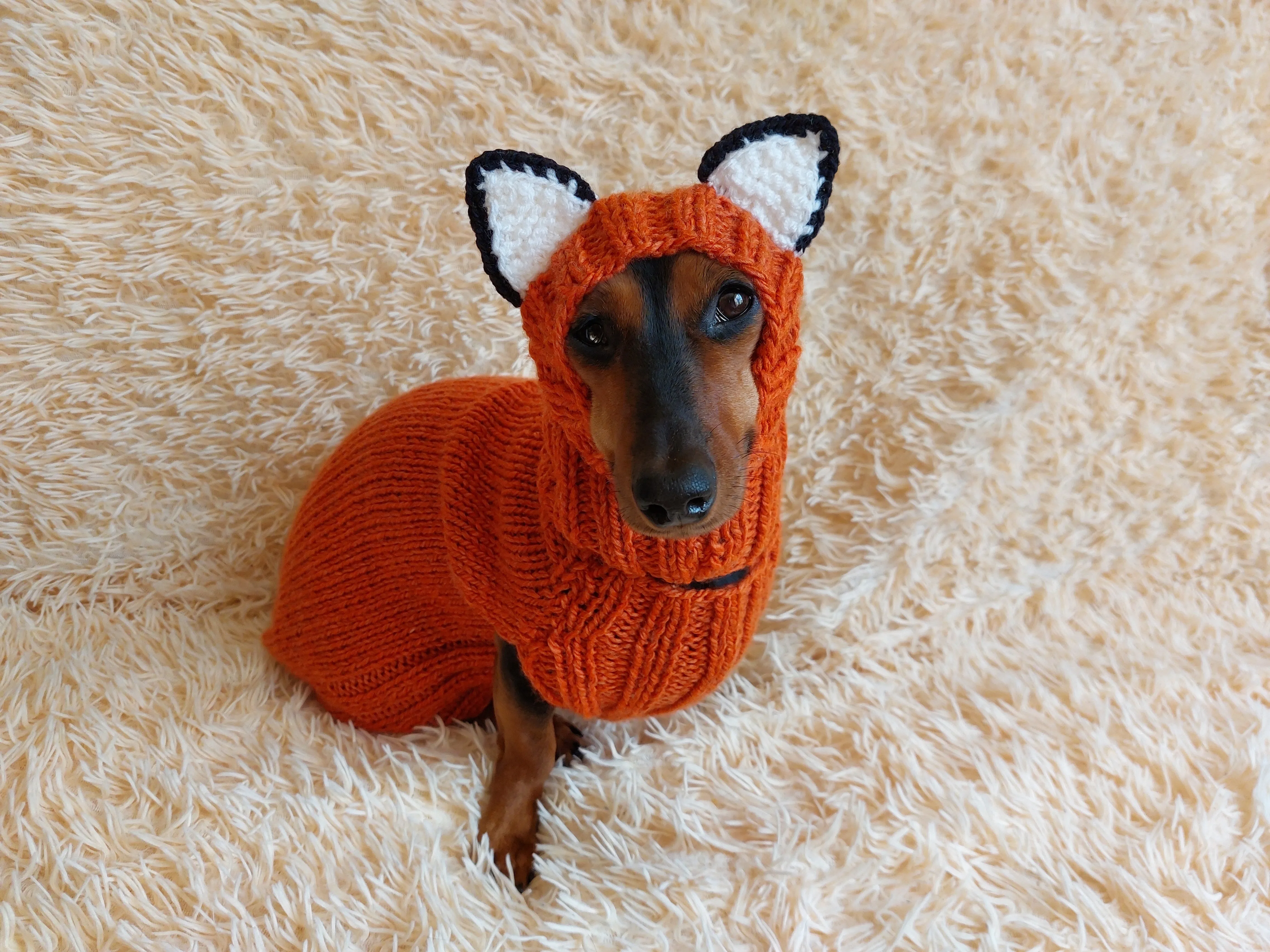 Fox Costume for Pet - Dog Halloween Costume, Sweater and Hat - Fox Set for Dachshund for Dog Photo Shoot - Halloween Costume for Small Dog