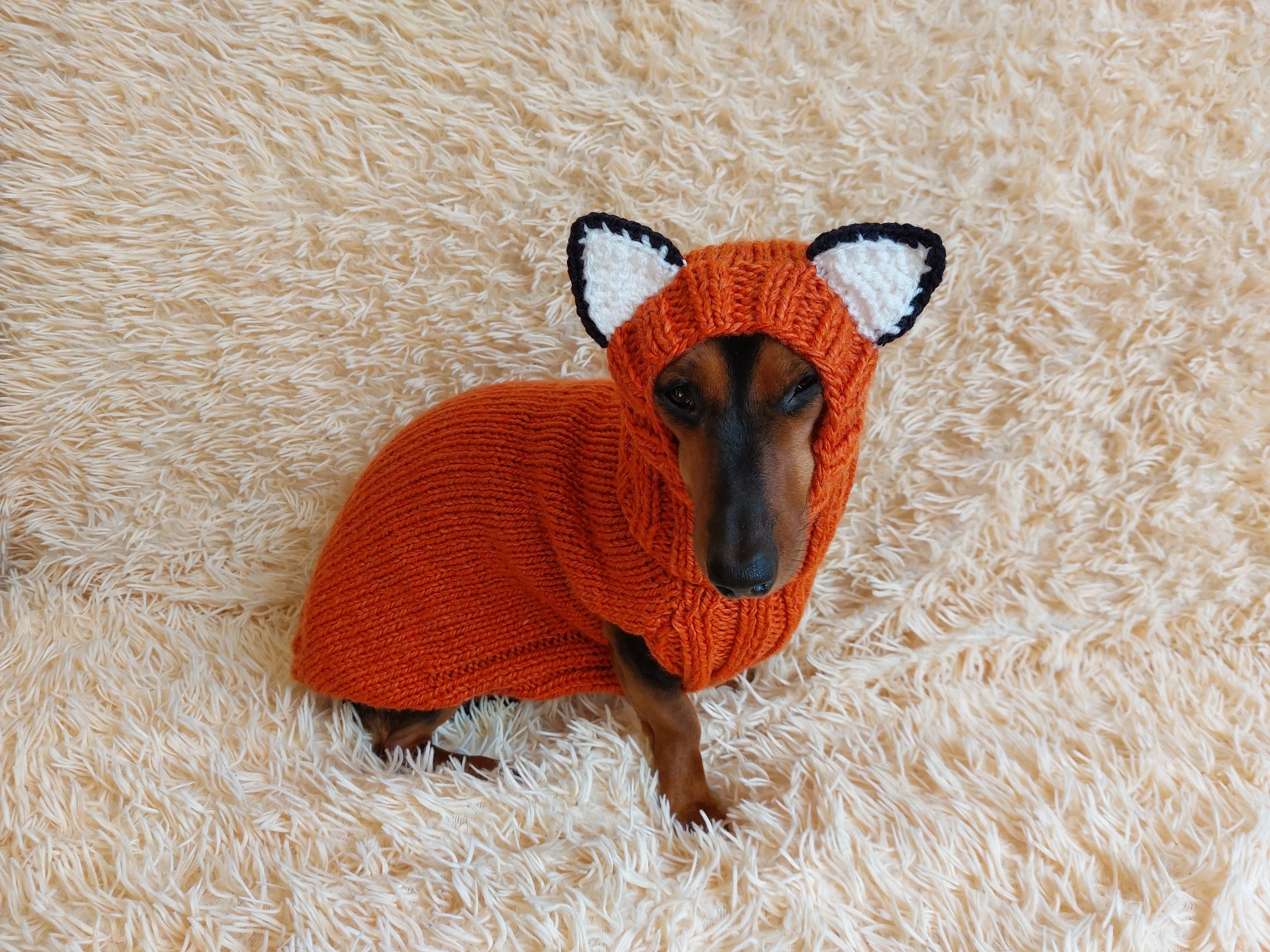 Fox Costume for Pet - Dog Halloween Costume, Sweater and Hat - Fox Set for Dachshund for Dog Photo Shoot - Halloween Costume for Small Dog