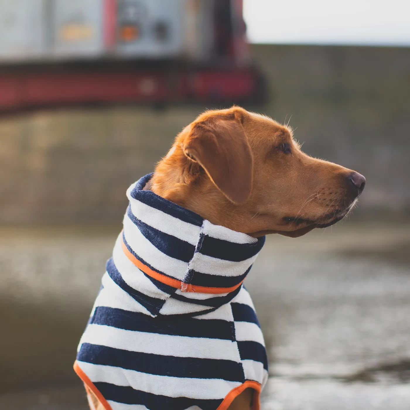 Harbour Hounds Navy Stripe Drying Coat