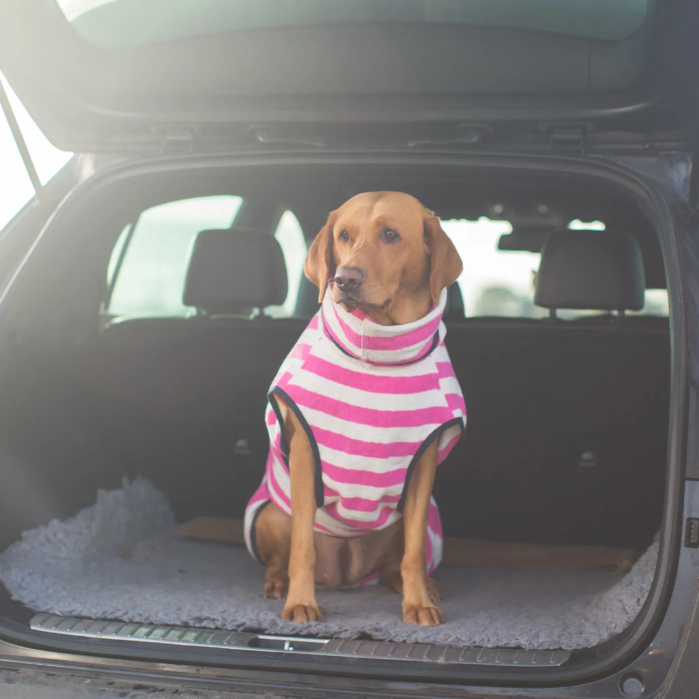 Harbour Hounds Orange Stripe Drying Coat