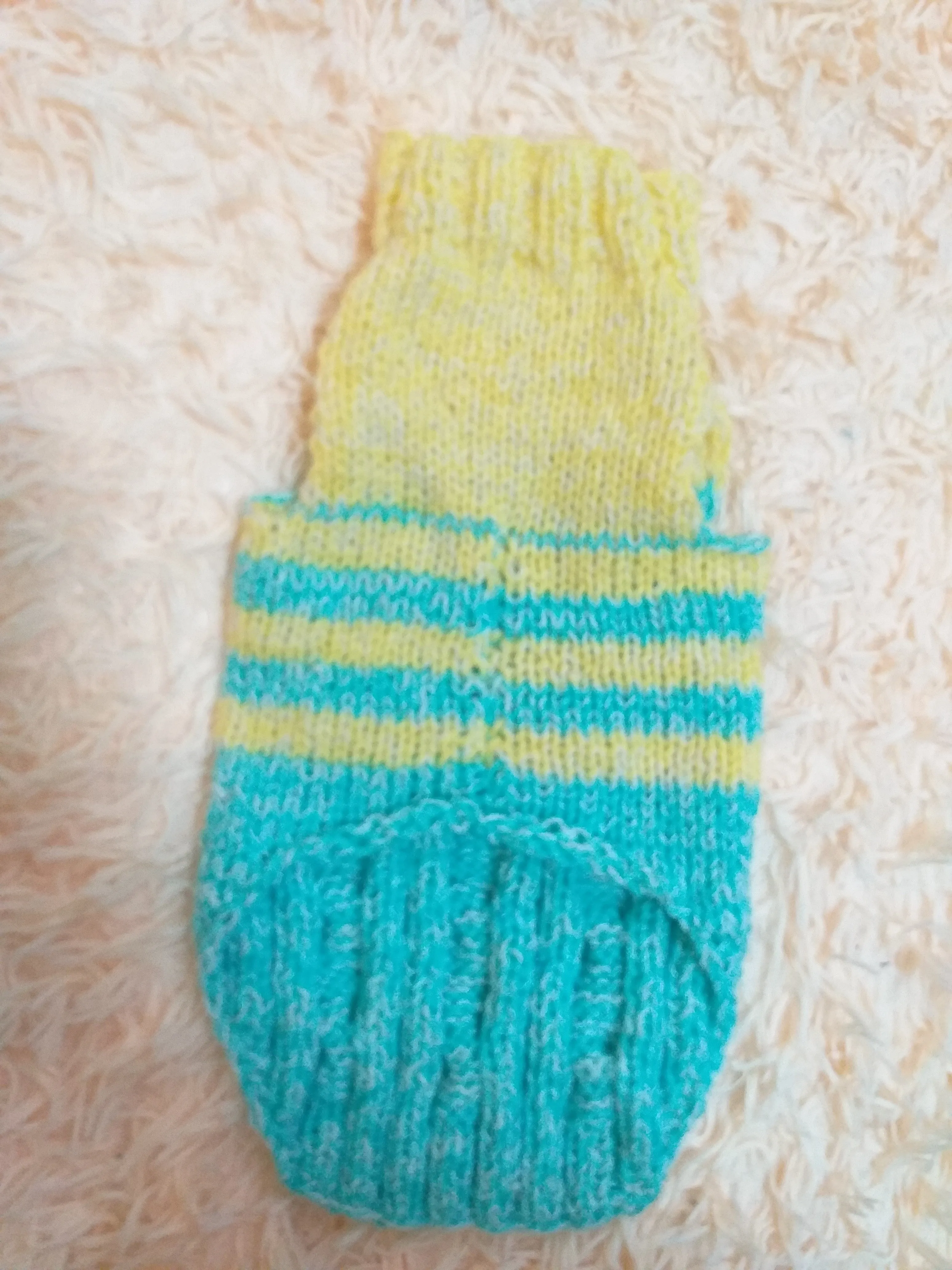 Size L Blue and yellow sweater knitted with aran for mini dachshund or small dog