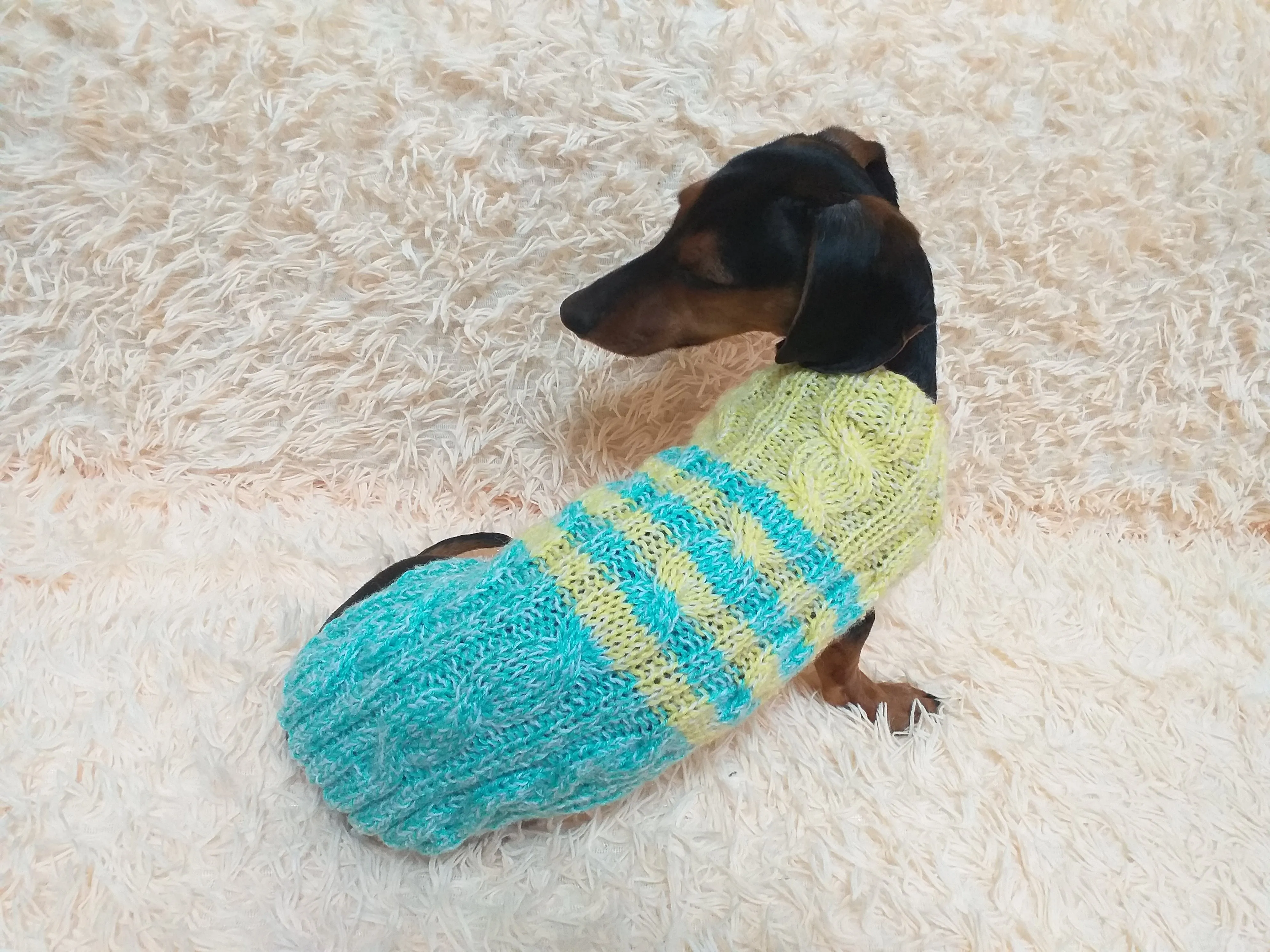 Size L Blue and yellow sweater knitted with aran for mini dachshund or small dog