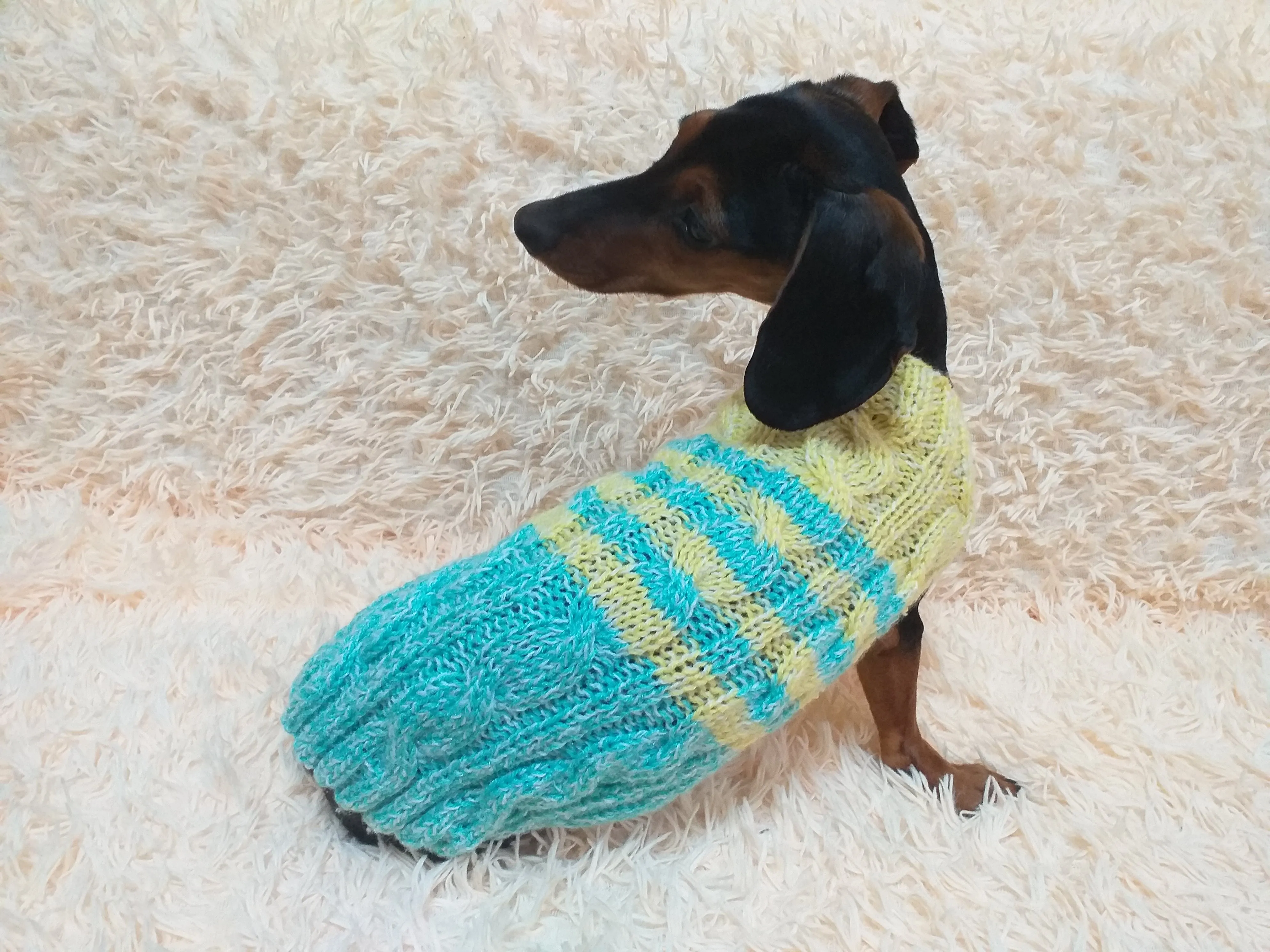 Size L Blue and yellow sweater knitted with aran for mini dachshund or small dog